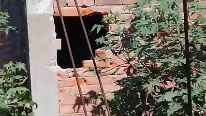 प्रयागराज: मोबाइल की दुकान में हुई हजारो की चोरी