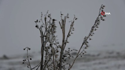 Sahara geçidinde kar yağışı ve sis etkili oluyor