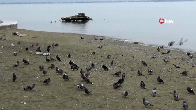 Vatandaşlar çağrıya uydu, sahiller ve piknik alanları boş kaldı