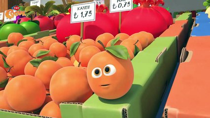 ELİF'İN DÜŞLERİ SÖYLEŞİ ZAMANI - KAYISI