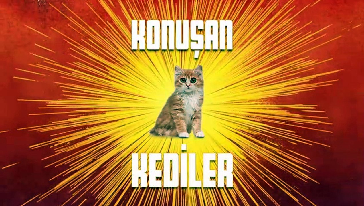 Konuşan Komik Kediler Dailymotion Video