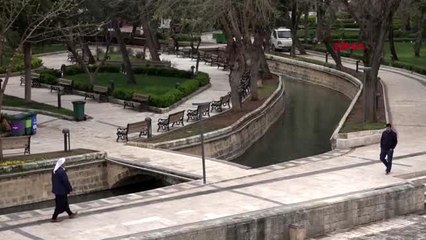 Şanlıurfa'da sokaklar dezenfekte edildi, araçlar denetlendi