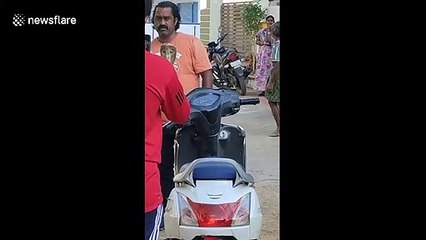 Deadly cobra found hiding inside headlights of motorscooter
