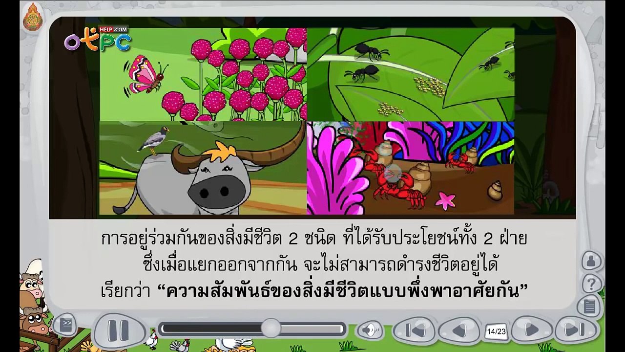 ความสัมพันธ์แบบพึ่งพา - สื่อการเรียนการสอน วิทย...