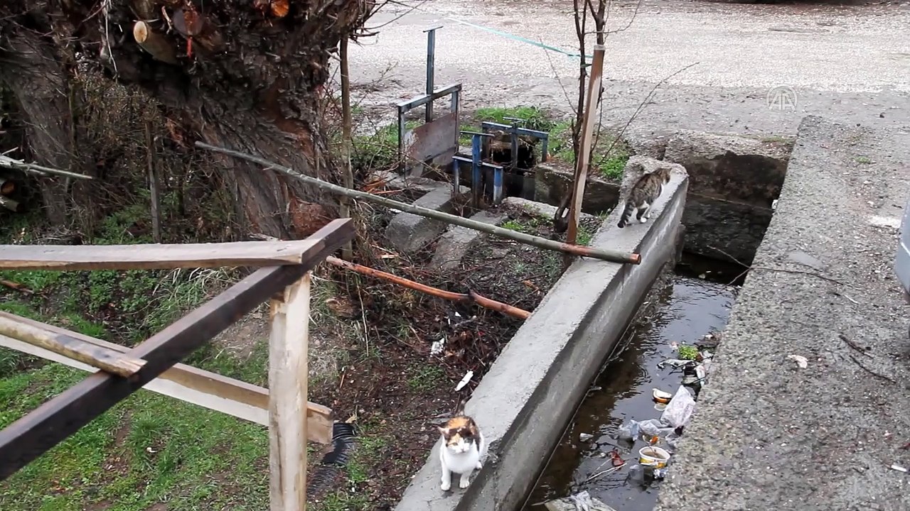 Suşehri'nde 2 köy, Kovid-19 tedbirleri kapsamında karantinaya alındı - SİVAS