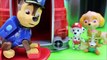 Paw Patrol Toys Transform Into Babies Learn Colors Toys For Kids
