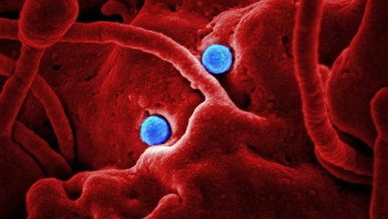 How To Safely Treat COVID-19 Symptoms At Home