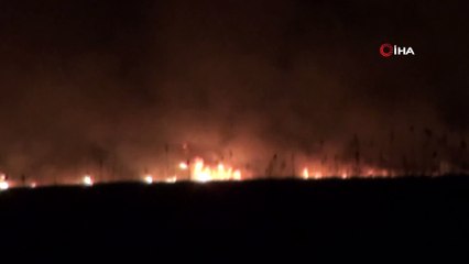 Kuşların yumurtlama döneminde Göksu Deltası alev alev yandı