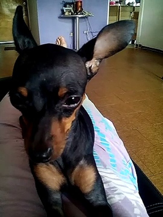 VID_20160731_053549