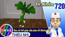 Dr. Khỏe - Tập 720: Rau cải trời giúp cầm máu vết thương