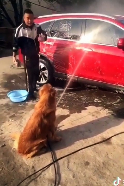 Funny Tik Tok 2020 part 18