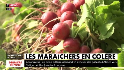 Coronavirus: Les maraîchers très  en colère car les stocks s'accumulent