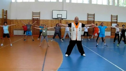 Shaolin DaMo Yi Jin Jing 108 Forms