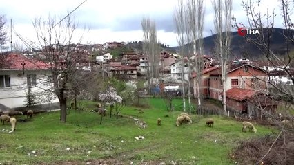 Karantinaya alınan Yeşildere köyü sessizliğe büründü