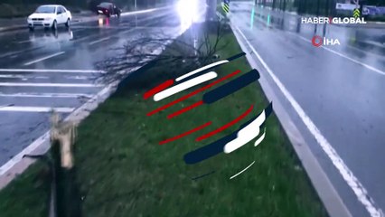 Kaza yaptı aracını bırakıp ormana kaçtı