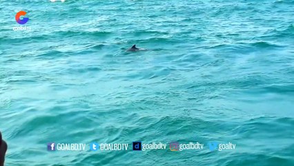 Dolphin In Cox'sbazar | নেই পর্যটক ফলে কক্সবাজারে দেখা মিলছে ডলফিনের