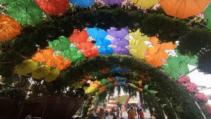 Exploring Miracle Garden Dubai! - Part 1
