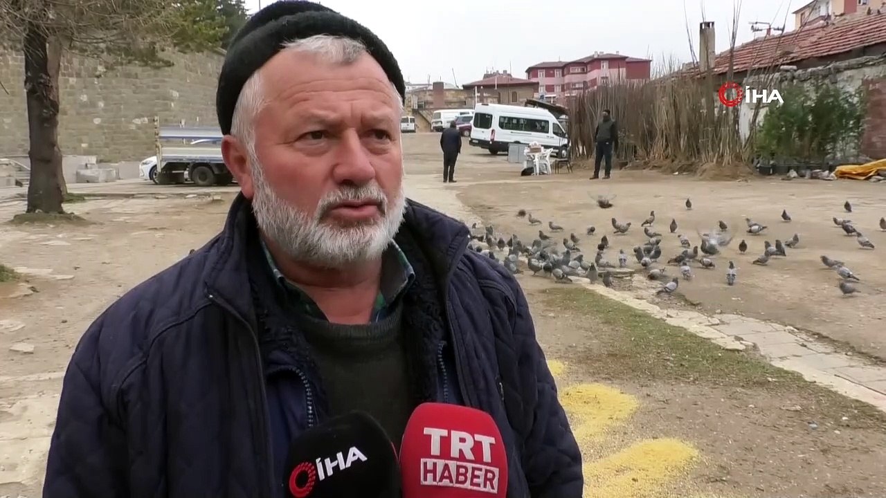 Koronavirüs güvercinleri de etkiledi...Duyarlı esnaf her gün buğday ve bulgurla güvercinleri besliyor