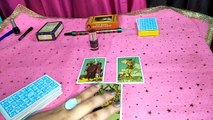 Tarot reading in Hindi about your partner - love tarot cards reading