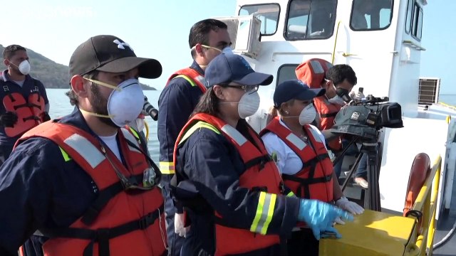 Transferidos a otro barco varios pasajeros del Zaandam en Panamá para dejar espacio a los enfermos