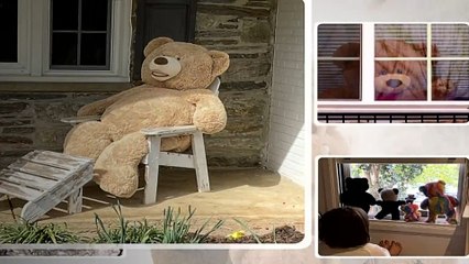 Teddy bear hunt goes viral