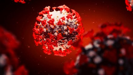 Corona Stages & Some Facts about its impact