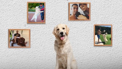 نجوم كرة قدم تحب تربية الكلاب