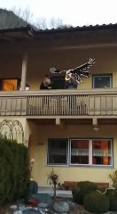 Balkonkonzert_Unterpeischlach, Kals