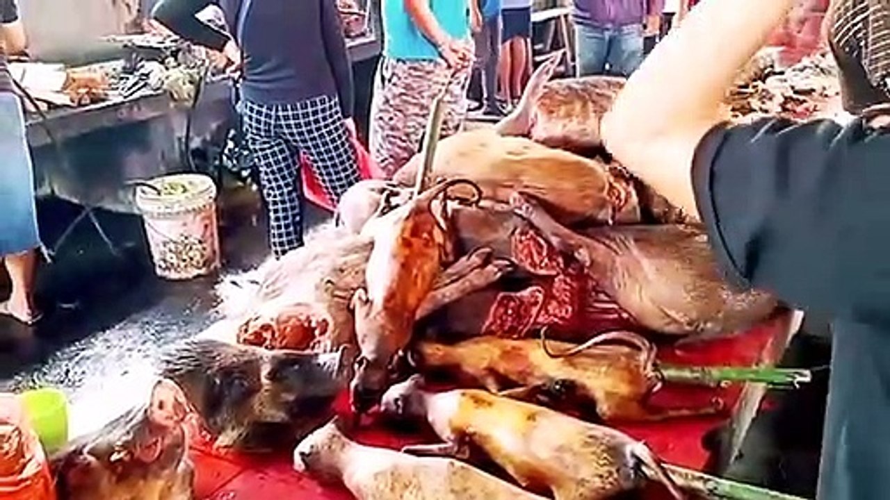 wuhan china_ from here it all started the market_у(480P)