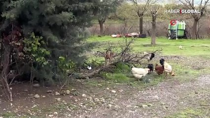 Koronavirüsten korunmak için köye misafir kabul etmiyorlar