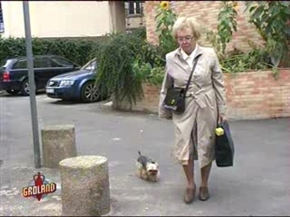 Vieille et son chien