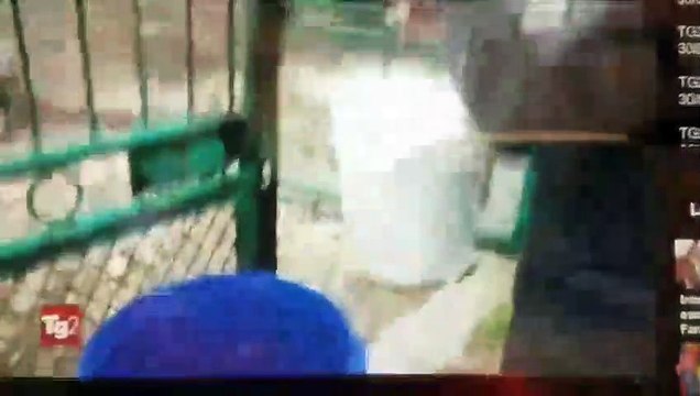 Coronavirus, in Puglia allevatori gettano il latte ma i prodotti esteri continuano ad arrivare