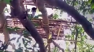 Coronavirus Scare: 7 Bengal Labourers Quarantined On A Tree After Returning From Chennai