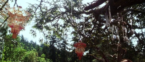 Practical Magic (1998)