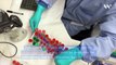 Human Testing of Johnson & Johnson Coronavirus Vaccine to Begin By September