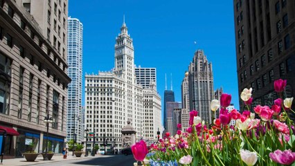 Chicago Is One of the Coolest Cities in the Country — and You Can Take a Virtual Trip There Right Now