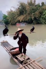 See the magic of nature | Amazing nature video