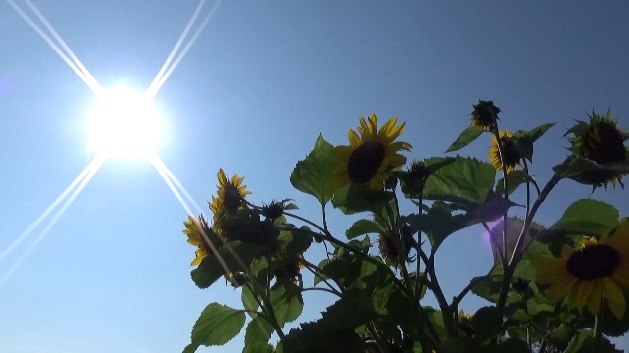 Dein Schutzengel spricht zu dir