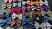 12-Year-Old Boy Makes Bow-Ties To Help Shelter Animals To Find Home