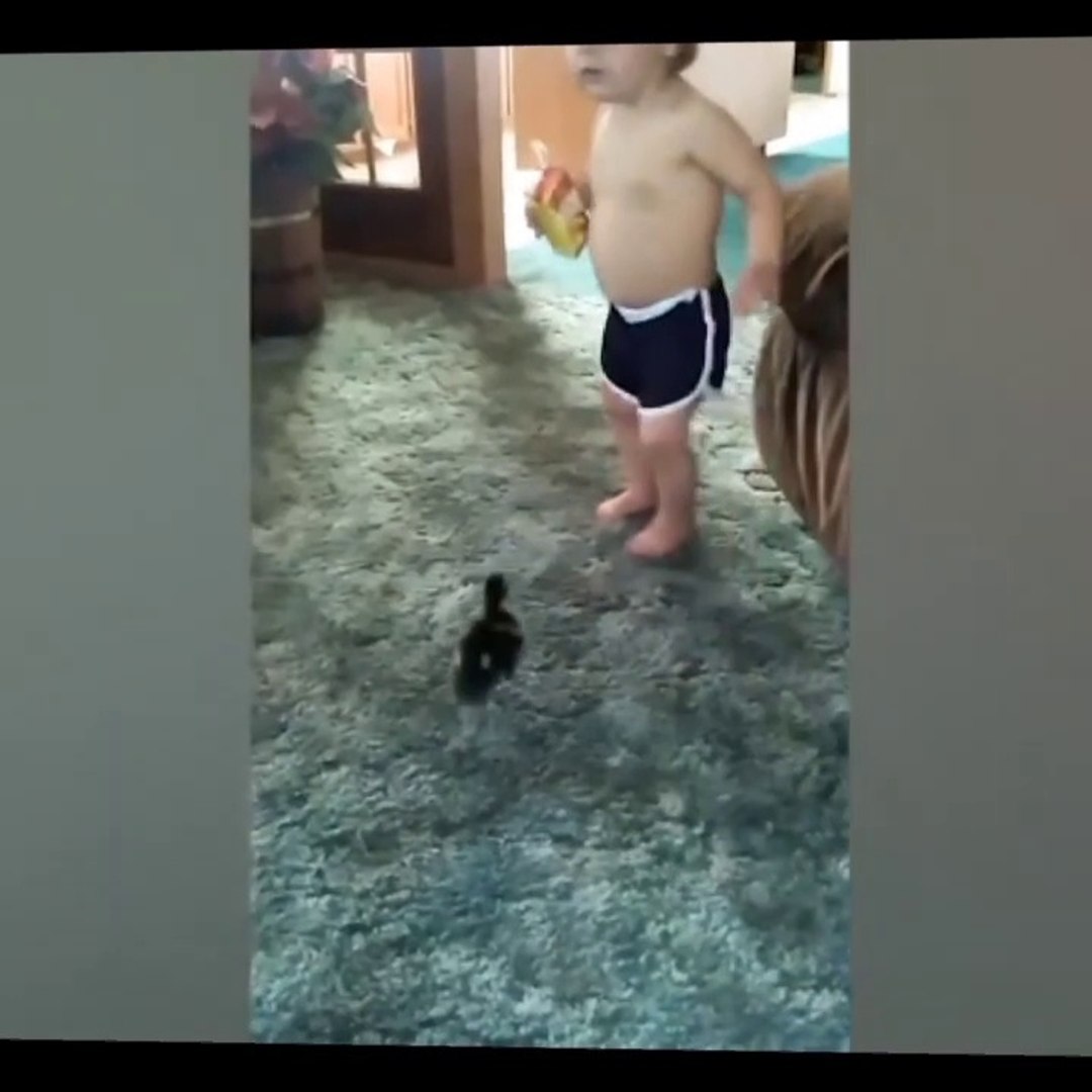KIDS FUNNY VIDEOS