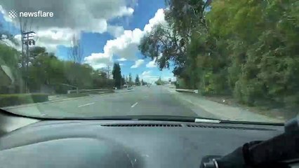 Shocking timelapse footage shows Californians out and about amid alleged coronavirus 'lockdown'