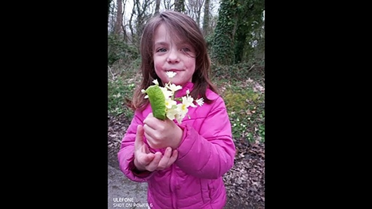les fleurs des MS-GS