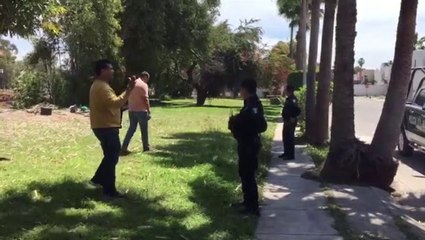 Vecinos impiden a gasolinera destrucción de árboles e invasión de área verde