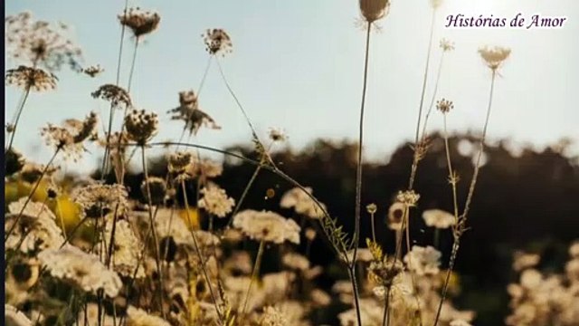 Amor Eterno Amor - A história de Rodrigo e Mirian parte 3