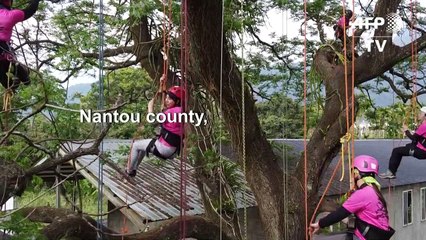 Women with head for heights embrace tree climbing in Taiwan