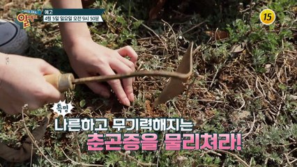 춘곤증 쫓고 기력회복에 제격인 봄의 보약 봄나물!_알맹이 67회 예고