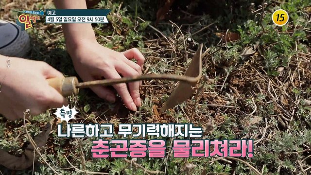 춘곤증 쫓고 기력회복에 제격인 봄의 보약 봄나물!_알맹이 67회 예고