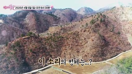 산골 아지매의 도망간 청춘_엄마의 봄날 238회 예고