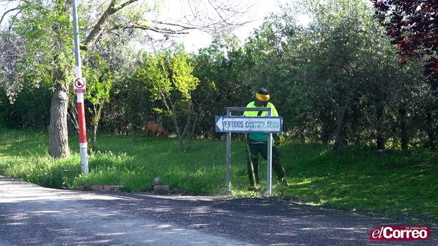 Gestión de residuos en tiempos de crisis