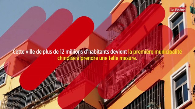 Shenzhen, première ville chinoise à bannir la consommation de chiens et de chats